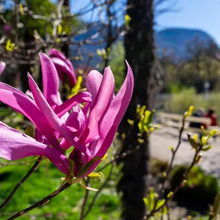 Ausblick Kleinjuwel Mit Panoramablick + Garage