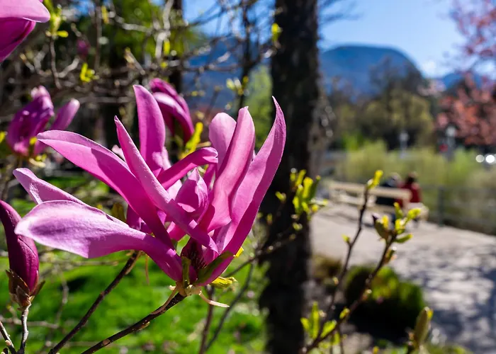 Ausblick Kleinjuwel Mit Panoramablick + Garage